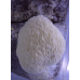 Мицелий Гериция шиповатого / Ежовик гребенчатый (Hericium erinaceus)